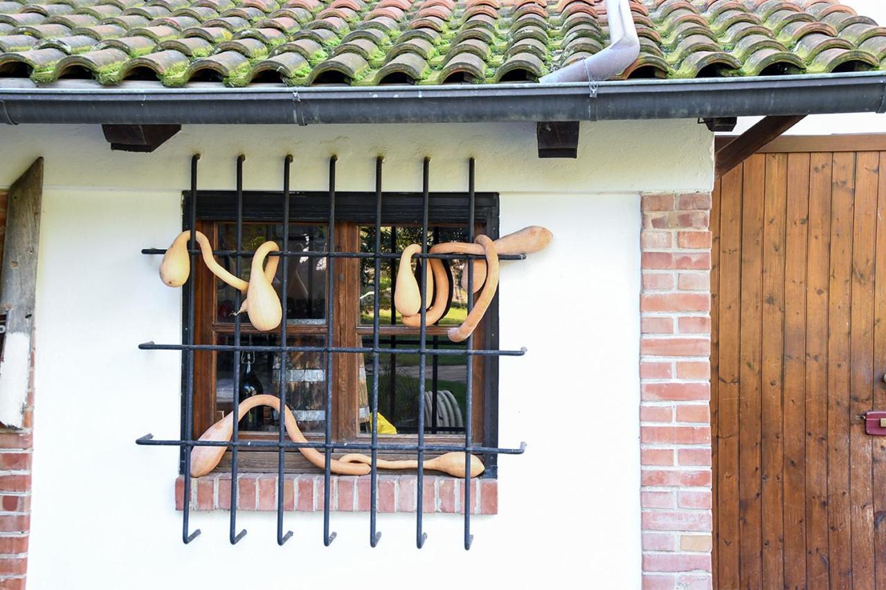 Gasthaus Casa Zafferano Albenga Exterior foto